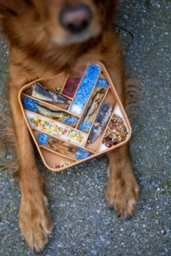 COOKA'S COOKIES - MERMAID DUST -Pet Emporium f7692ef6c964d98f6064a4b2a7c344d18a856bd9180b5bdd02dd458e97f3311f