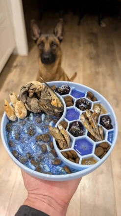 COOKA'S COOKIES - MERMAID DUST -Pet Emporium f9b5588a44d4875ca21a66ee5b82db7a78a7dfd95358503709ac616321f27696