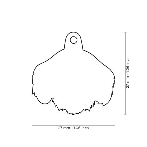 MY FAMILY - BLACK AND TAN WIRE-HAIRED DACHSHUND 4 MY FAMILY - BLACK AND TAN WIRE-HAIRED DACHSHUND - Image 2