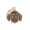MY FAMILY - FAWN WIRE-HAIRED DACHSHUND -Pet Emporium german dachshund brown id dog tag