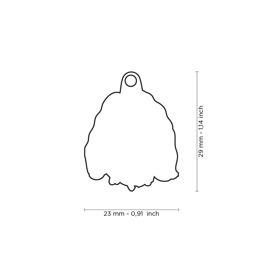 MY FAMILY - GREY SHIH TZU 4 MY FAMILY - GREY SHIH TZU - Image 2