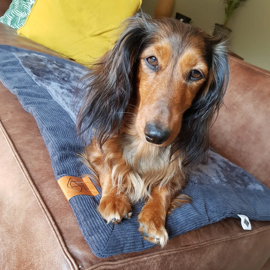 COMFY PLAID DAVY CORDUROY GREY 7 COMFY PLAID DAVY CORDUROY GREY - Image 5