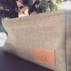 D&D BORIS MAND - CAT BASKET -Pet Emporium image 838e2b1a 7294 4a0e 9f32 73f3377b6982