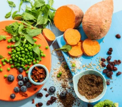 IMBY - INSECT BASED - PUPPY 8 IMBY - INSECT BASED - PUPPY -Pet Emporium imbypuppy3