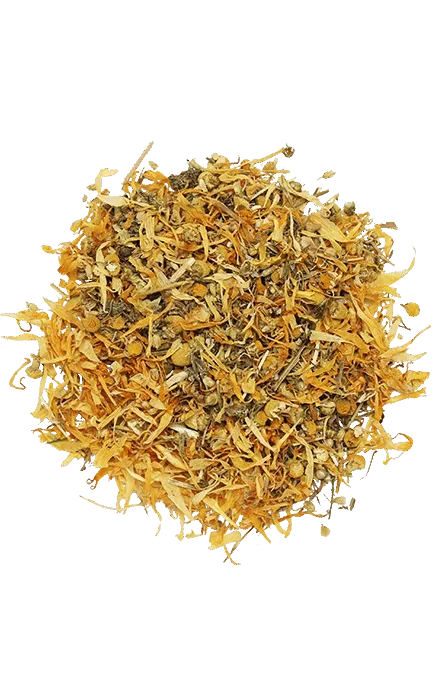 DOG'S LOVE - SUPER DIGEST 4 DOG'S LOVE - SUPER DIGEST - Image 2