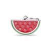 MY FAMILY - WATERMELON 1 MY FAMILY - WATERMELON -Pet Emporium medaglietta anguria