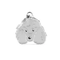 MY FAMILY - GREY POODLE