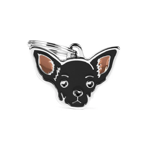 MY FAMILY - BLACK CHIHUAHUA 3 MY FAMILY - BLACK CHIHUAHUA