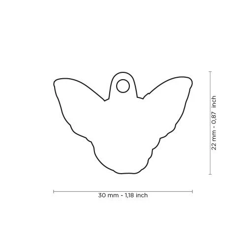 MY FAMILY - BLACK CHIHUAHUA 4 MY FAMILY - BLACK CHIHUAHUA - Image 2