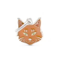 MY FAMILY - RED TABBY MAINE COON