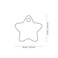 MY FAMILY - STAR -Pet Emporium medaglietta stella grande giallo1