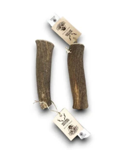 MR. BONES - DEER ANTLER 8 MR. BONES - DEER ANTLER -Pet Emporium mordedor natural perro M Asta ciervo mrbones