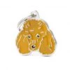 MY FAMILY - APRICOT POODLE -Pet Emporium new apricot poodle dog tag1