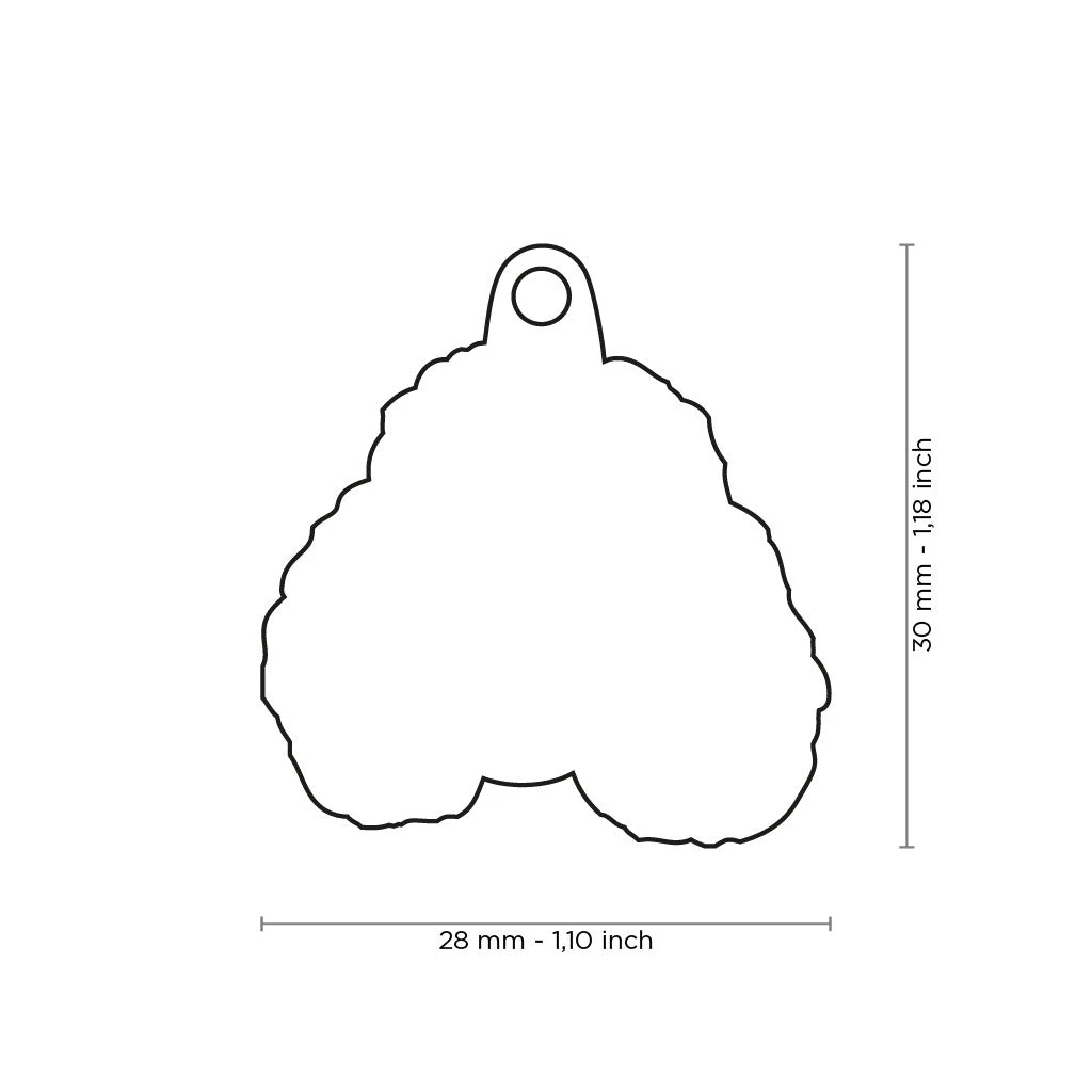 MY FAMILY - APRICOT POODLE 4 MY FAMILY - APRICOT POODLE - Image 2