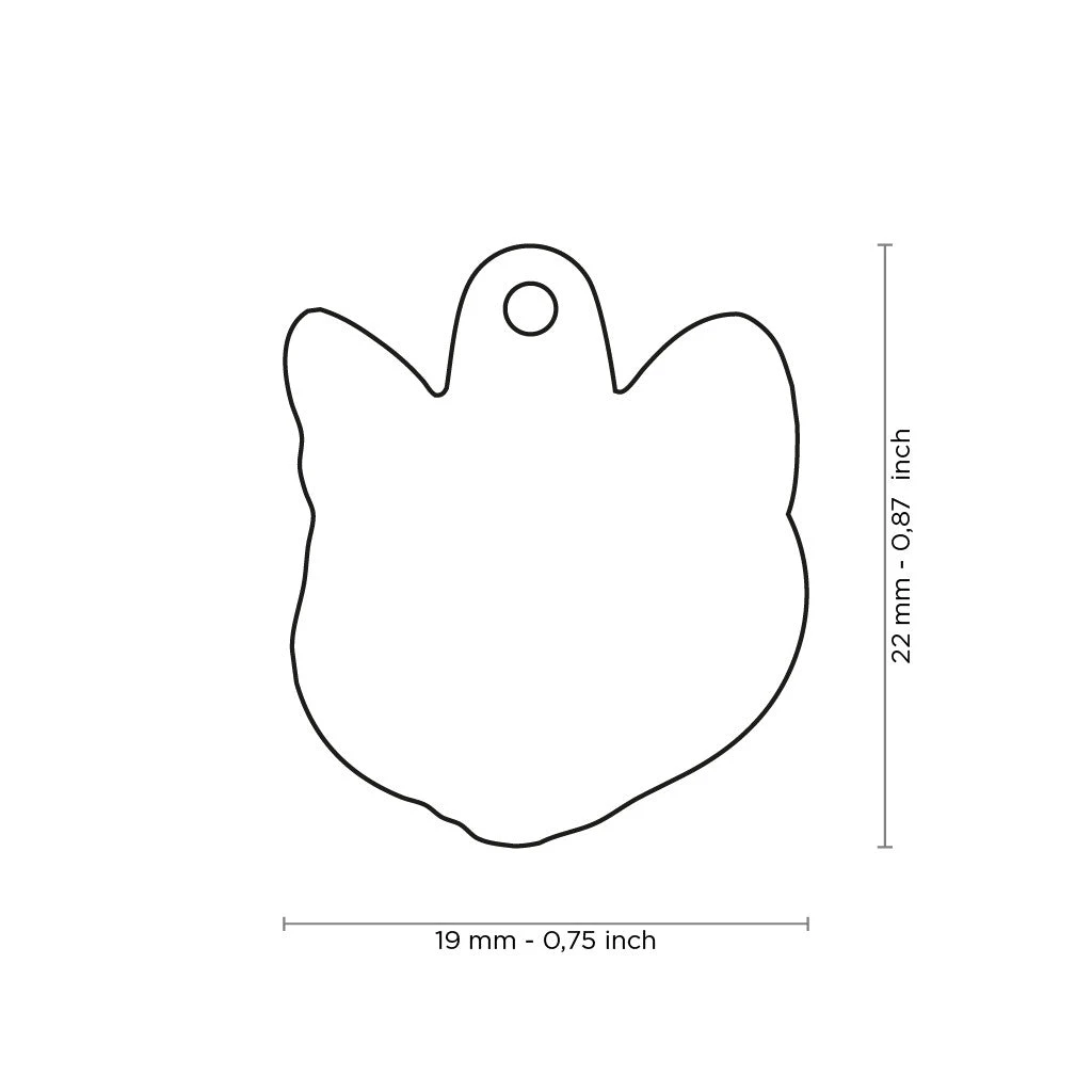 MY FAMILY - BLACK EUROPEAN SHORTHAIR 4 MY FAMILY - BLACK EUROPEAN SHORTHAIR - Image 2