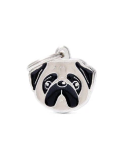 MY FAMILY - FAWN PUG