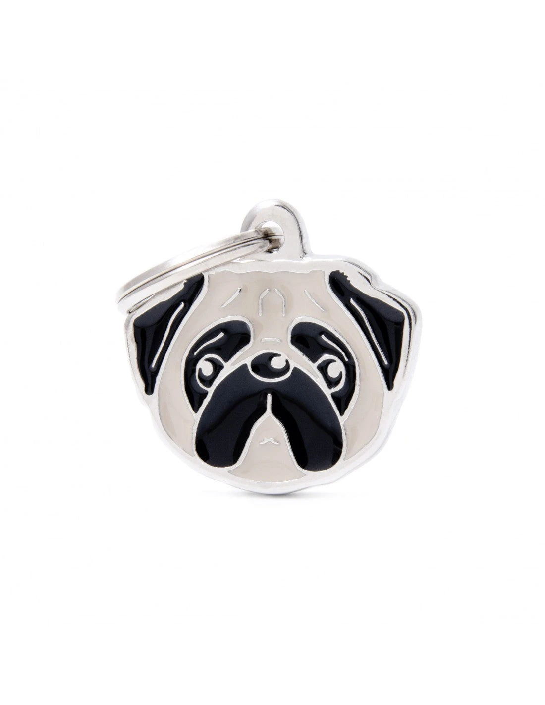 MY FAMILY - FAWN PUG 3 MY FAMILY - FAWN PUG