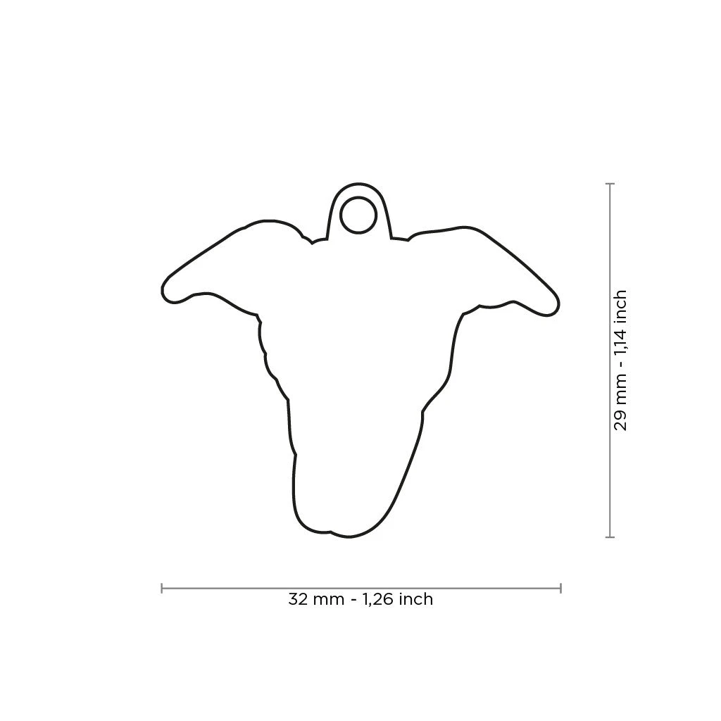 MY FAMILY - GREYHOUND 4 MY FAMILY - GREYHOUND - Image 2