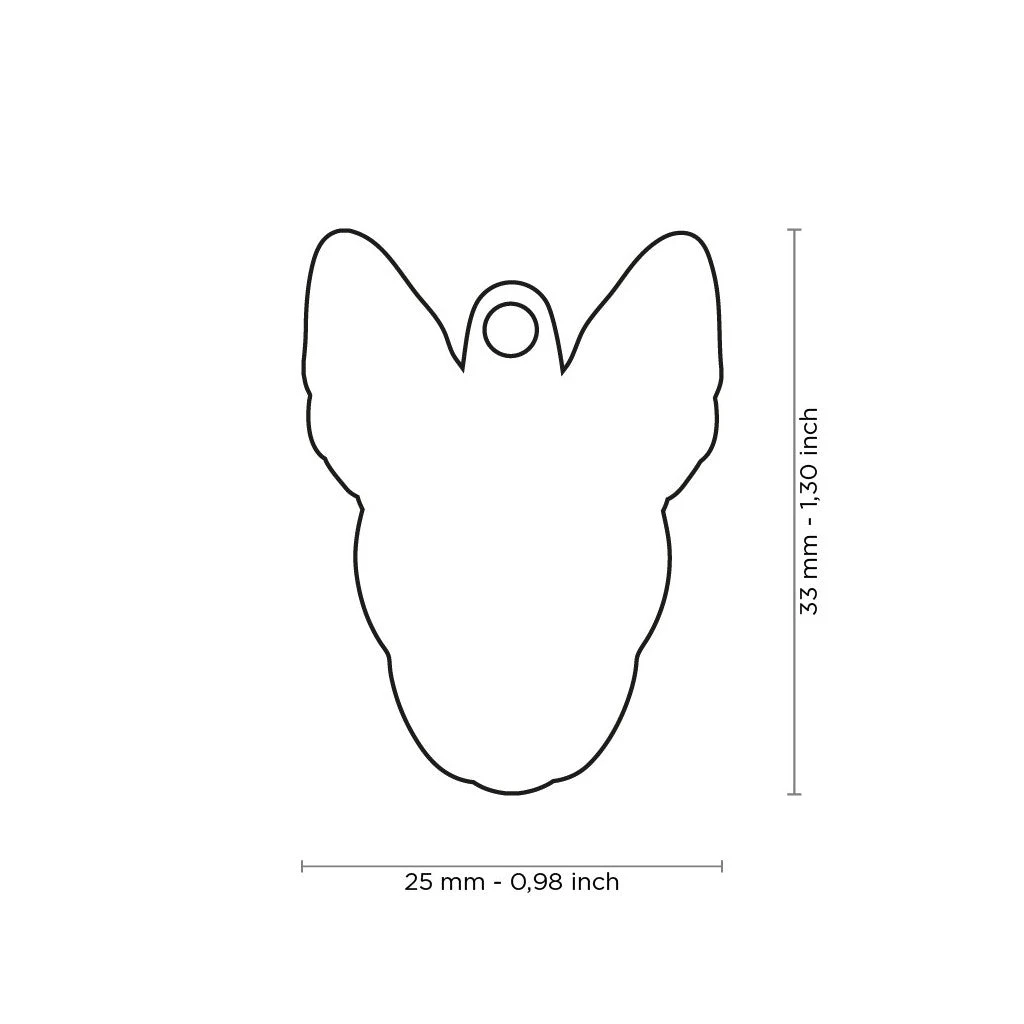 MY FAMILY - BRINDLE AND WHITE BULL TERRIER 4 MY FAMILY - BRINDLE AND WHITE BULL TERRIER - Image 2