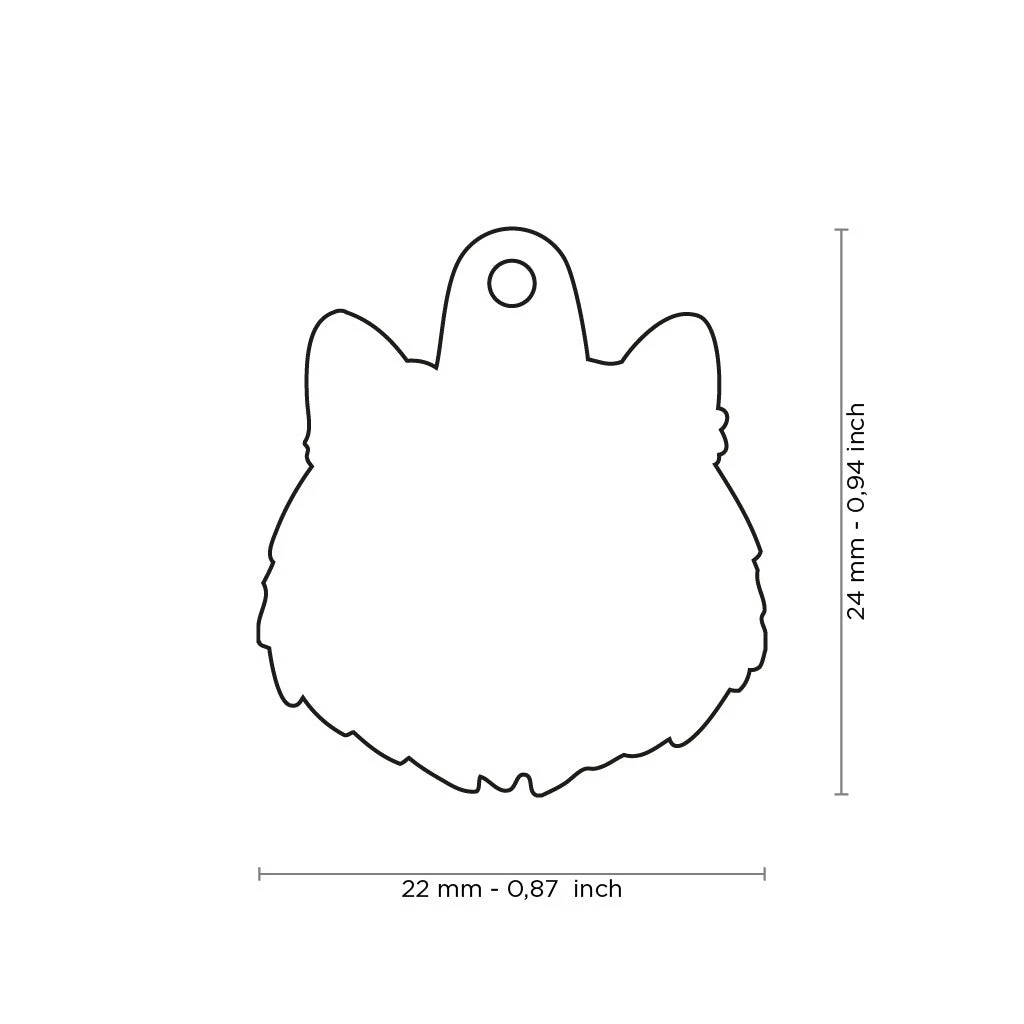 MY FAMILY - RED PERSIAN CAT 4 MY FAMILY - RED PERSIAN CAT - Image 2