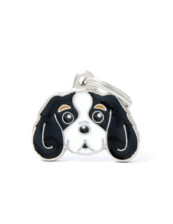 MY FAMILY - TRICOLOUR CAVALIER KING