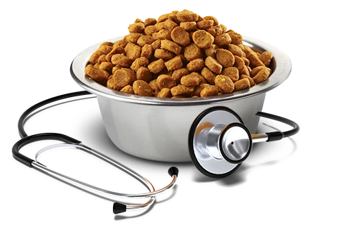 FARMINA VETLIFE - DIET CAT - GASTROINTESTINAL 4 FARMINA VETLIFE - DIET CAT - GASTROINTESTINAL - Image 2