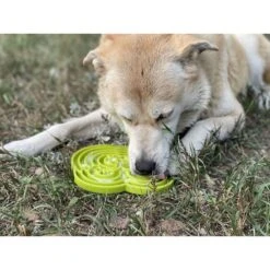 SODAPUP - WATER FROG E-TRAY - DIFFERENT COLOURS -Pet Emporium white IMG 7441 7d68e563 6c6e 4ca9 941f adda40f45439