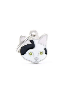 MY FAMILY - WHITE AND BLACK EUROPEAN SHORTHAIR