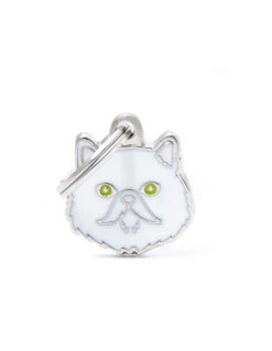 MY FAMILY - WHITE PERSIAN CAT