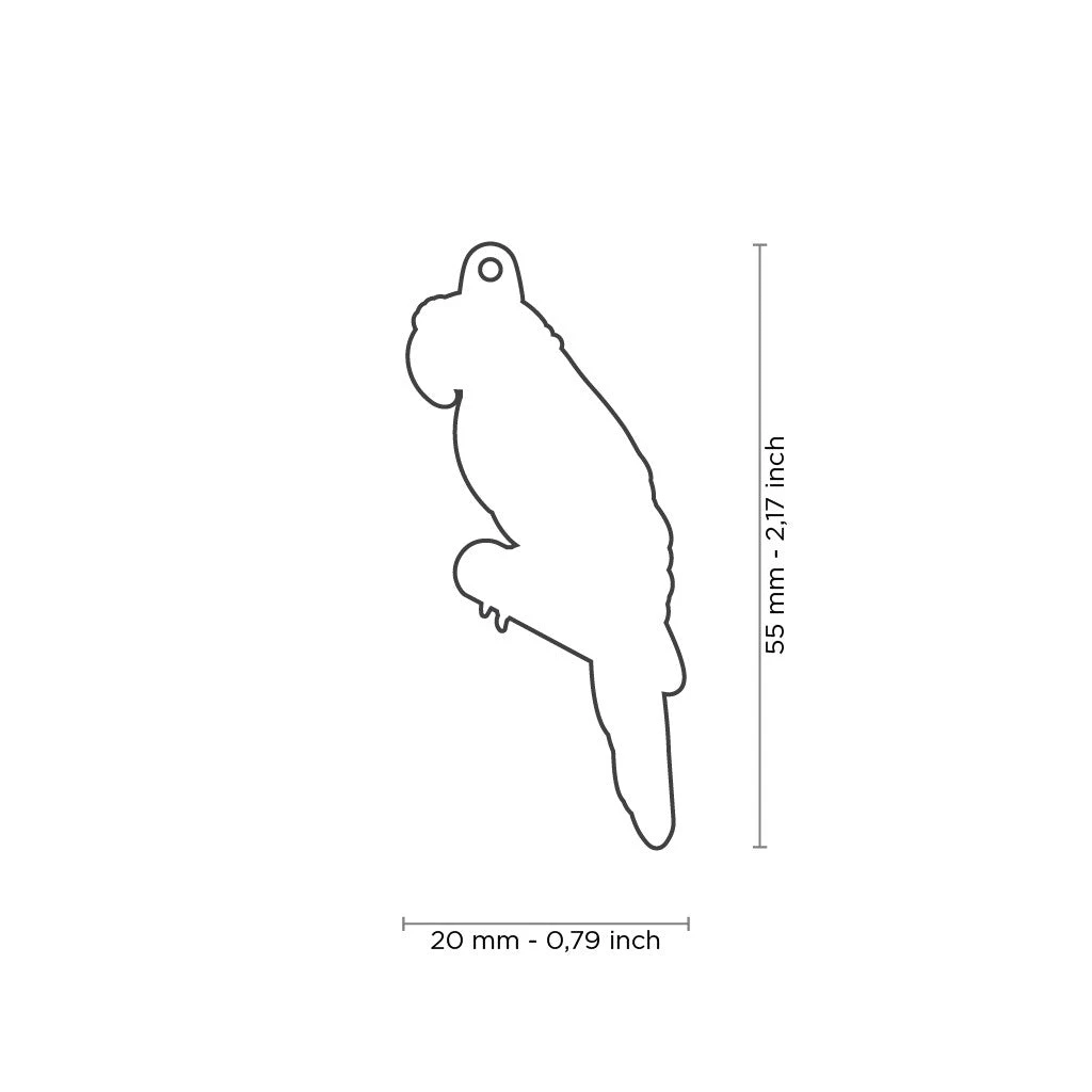 MY FAMILY - PARROT 4 MY FAMILY - PARROT - Image 2