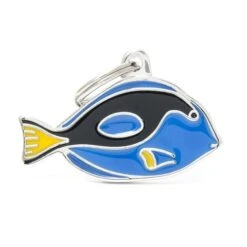 MY FAMILY - SURGEONFISH
