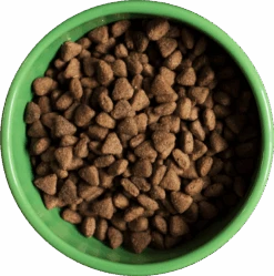 YORA - INSECT PROTEIN ALL BREEDS -Pet Emporium yora kibble in bowl