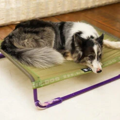 ZEE.DOG - AIR.BED GREEN -Pet Emporium zeedog airbed green main 3 1296x 3c8a9ecf e0e8 48de 998f 40625e3729f4