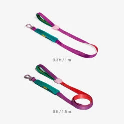 ZEE.DOG - CALI DOS AIR LEASH -Pet Emporium zeedog airleash cali dos main 5 1080x e618ed5f fcf3 429d ba96 756e19bcaa53