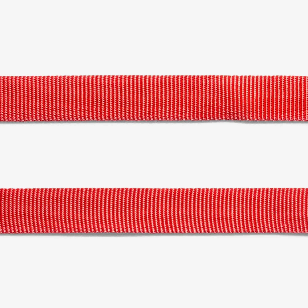 ZEE.DOG - NEON CORAL CAT COLLAR 5 ZEE.DOG - NEON CORAL CAT COLLAR - Image 3