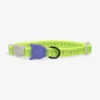 ZEE.CAT - NOX LUMEN - CAT COLLAR 1 ZEE.CAT - NOX LUMEN - CAT COLLAR -Pet Emporium zeedog cat collar nox lumen main 1 1296x 75816463 5b3d 4855 9be3 42690a404198