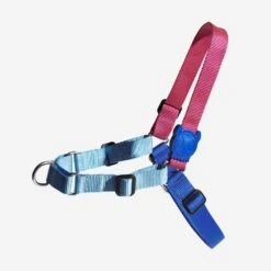 ZEE.DOG - COOLY SOFT WALK HARNESS -Pet Emporium zeedog soft walk harness cooly main 1 1080x fe1f3682 2dec 4278 b947 076dd3f9ff00