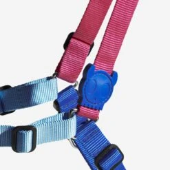 ZEE.DOG - COOLY SOFT WALK HARNESS -Pet Emporium zeedog soft walk harness cooly main 4 1080x 835c3feb 07b4 4179 94fa f7ea6aadeaf5