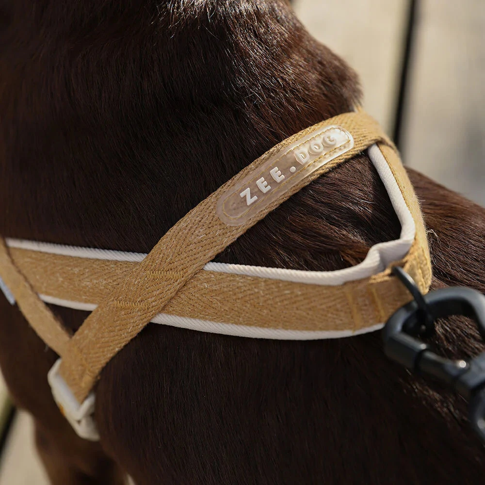 ZEE.DOG - DUNE SOFTERWALK HARNESS 4 ZEE.DOG - DUNE SOFTERWALK HARNESS - Image 2